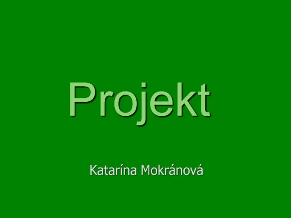 Projekt