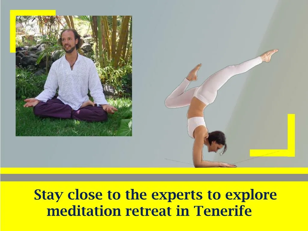 stay close to the experts to explore meditation