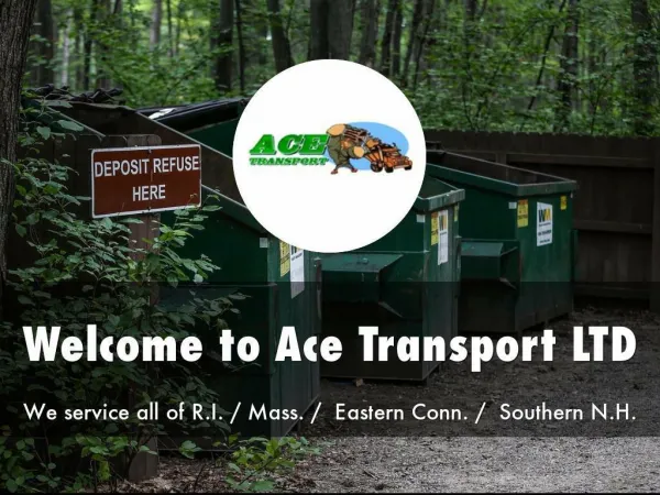 Information Presentation Of Ace Transport