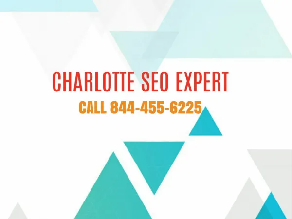 Charlotte SEO Expert - Local 9 Marketing