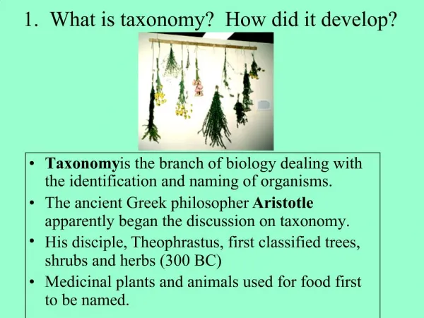 1. What is taxonomy How did it develop