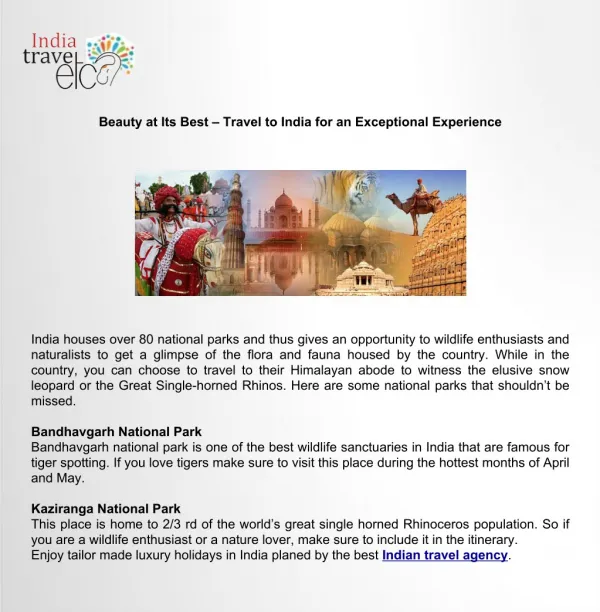 Best Travel to India for an Exceptional Experience