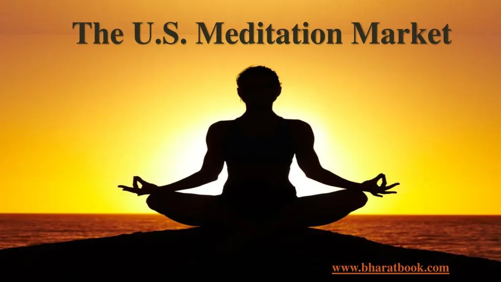 the u s meditation market