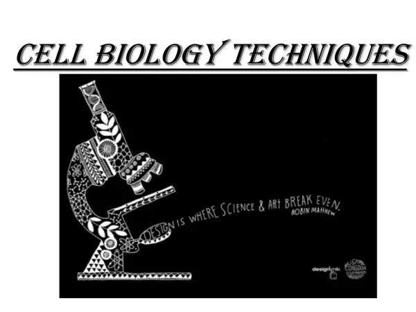 cell biology technique
