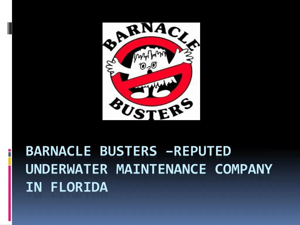 barnacle busters reputed underwater maintenance company in florida