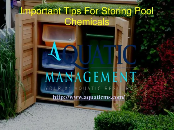 Important Tips For Storing Pool Chemicals