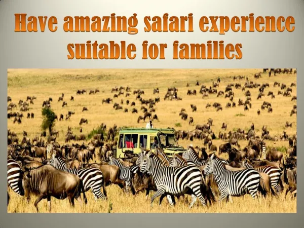 Have amazing safari experience suitable for families