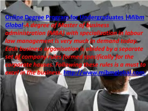 online degree program for undergraduates mibm