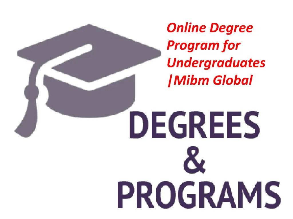 online degree program for undergraduates mibm