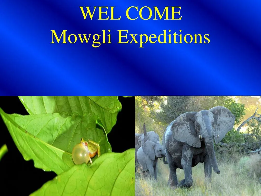 wel come mowgli expeditions