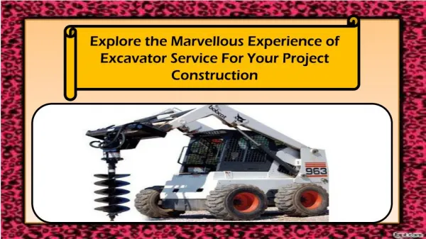 Explore the Marvellous Experience of Excavator Service For Your Project Construction