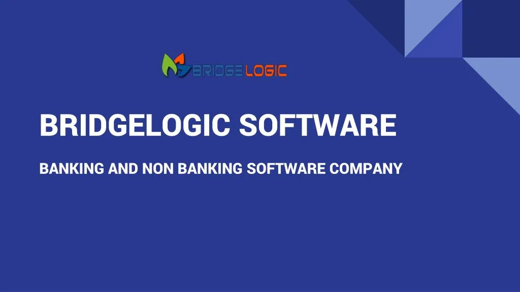 bridgelogic software
