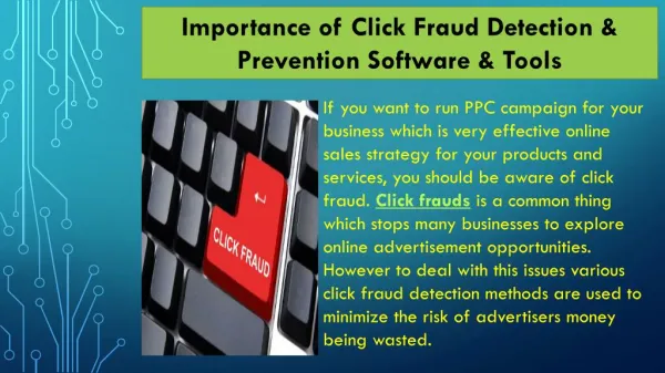 PPC Ad Click Fraud Detection & Prevention Tools - White Diagnostic