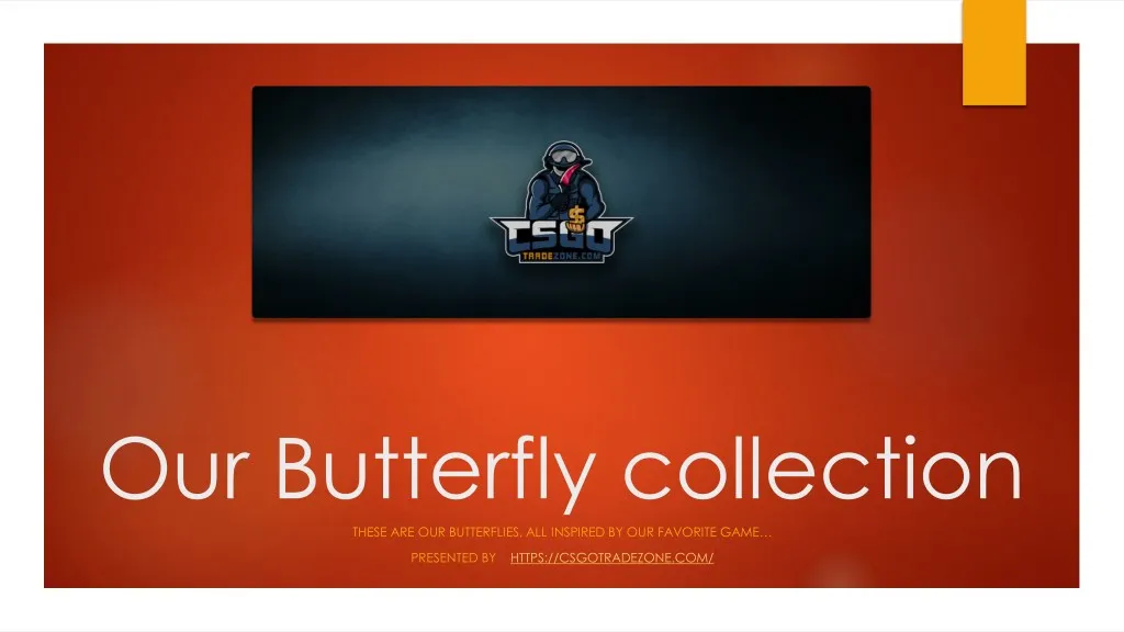 our butterfly collection