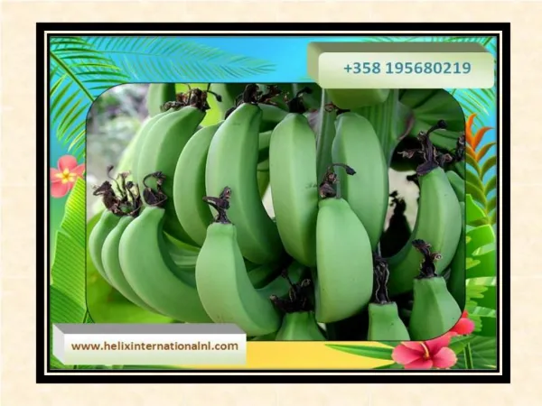 Need and Importance of eating Cavendish Banana