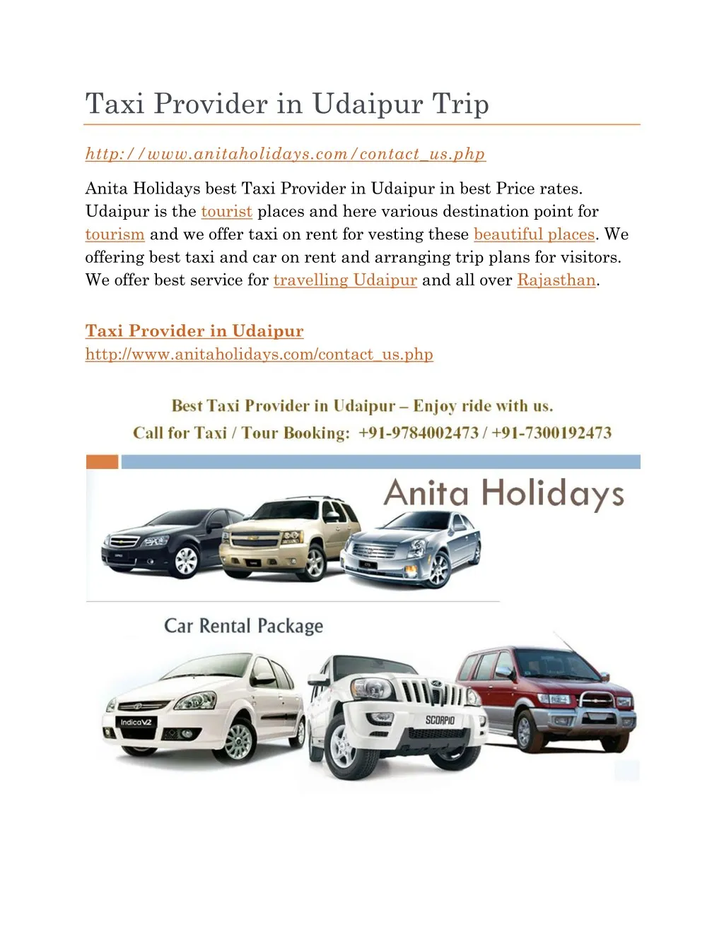 taxi provider in udaipur trip