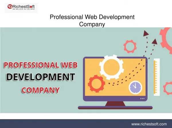RichestSoft professional web development company