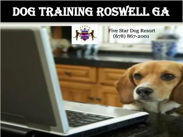 Dog training Roswell GA