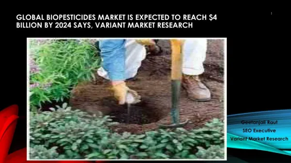 Global Biopesticides Market is Expected to Reach $4 Billion by 2024 Says, Variant Market Research