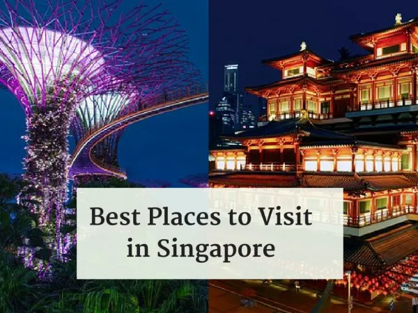 Find the Best Places to Visit in Singapore