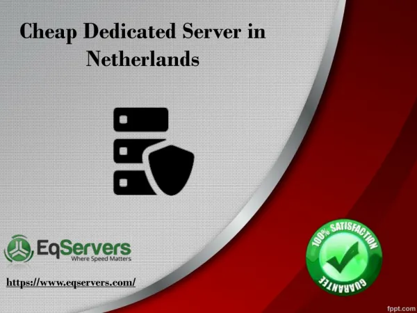 Server In Netherlands