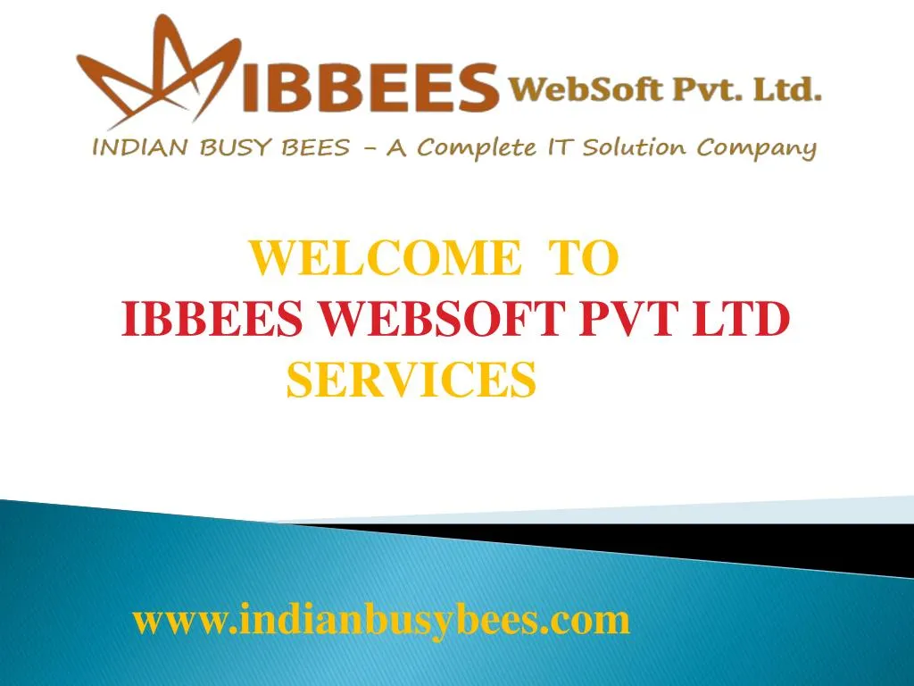 welcome to ibbees websoft pvt ltd services