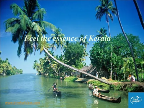 Feel the essence of Kerala