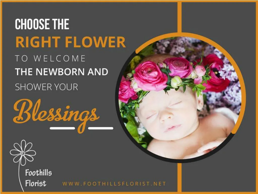 choose the right flower to welcome the newborn and shower your blessings