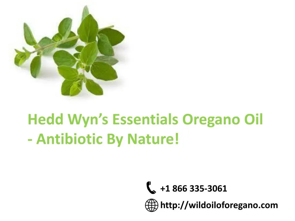 hedd wyn s essentials oregano oil antibiotic by nature