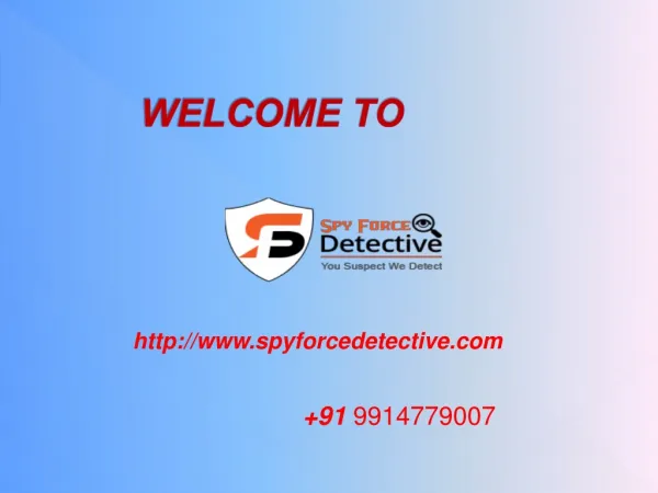 Detective Agency in Chandigarh, Punjab, Himachal | Spy force detective