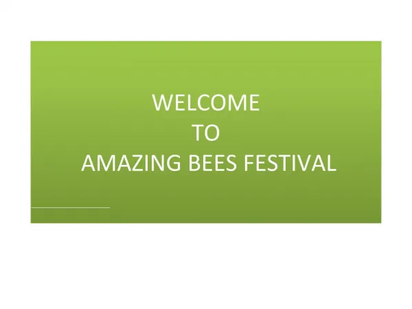 Amazing Bees Festival