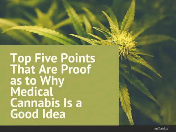 Top Five Points That Are Proof as to Why Medical Cannabis Is a Good Idea