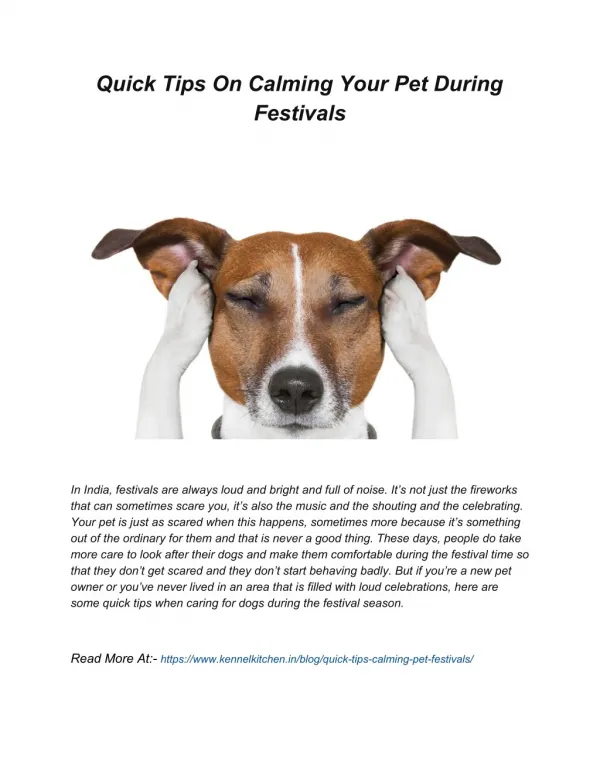 Quick Tips On Calming Your Pet During Festivals