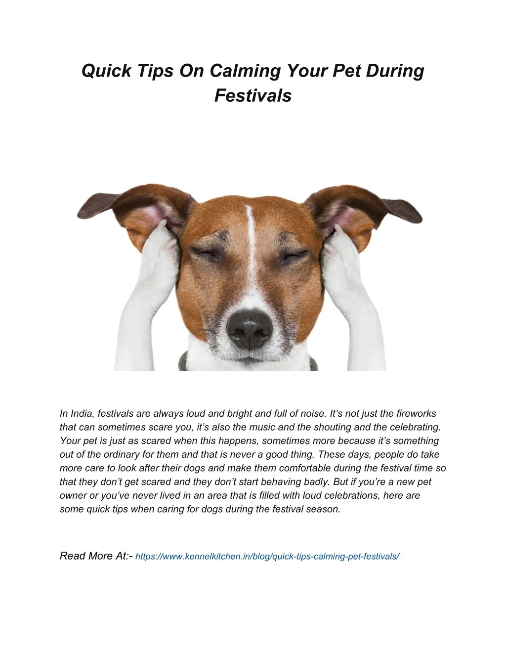 quick tips on calming your pet during festivals