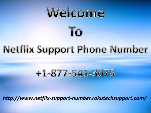 Netflix Support Phone Number 1-877-541-3075