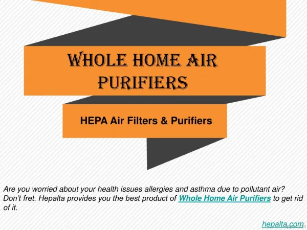 Whole Home Air Purifiers