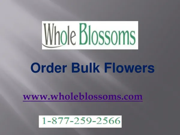 Order Bulk Flowers - www.wholeblossoms.com