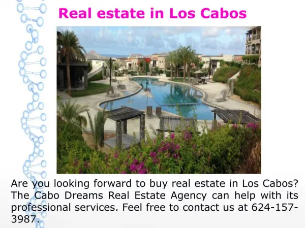 Cabo San Lucas Real Estate Agents