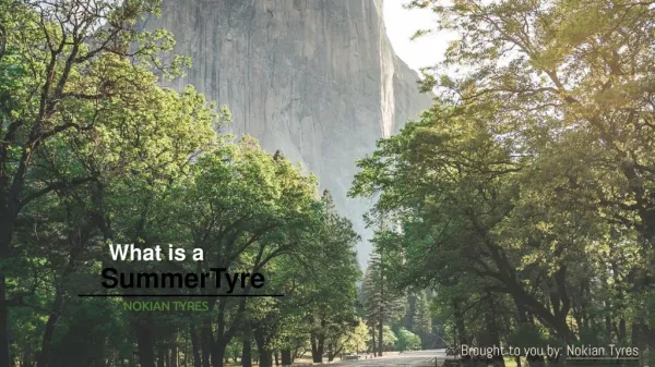 What Is A Summer Tyre?