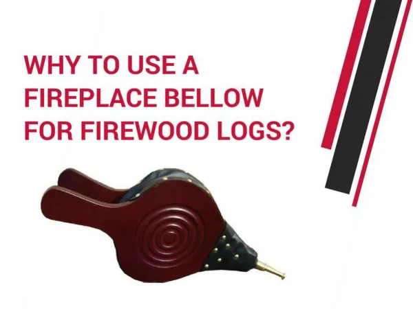 Why to Use Fireplace Bellow for Firewood Logs