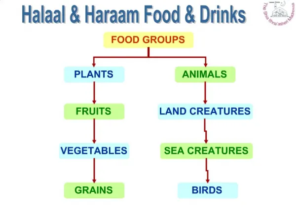 Halaal Haraam Food Drinks