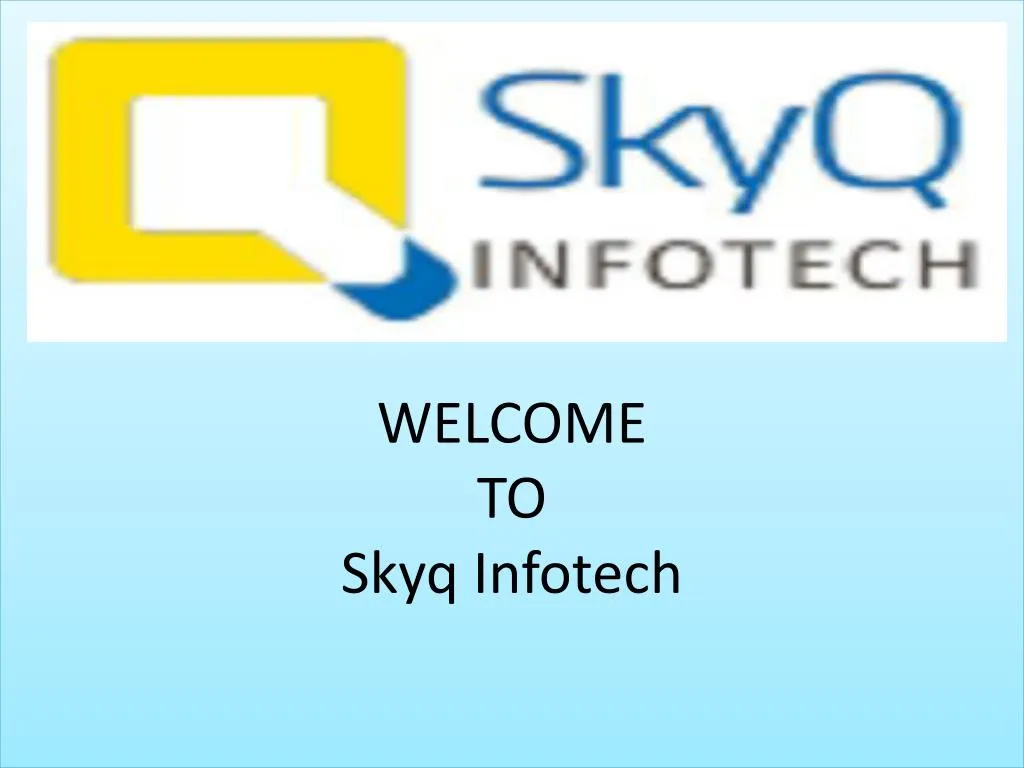 welcome to skyq infotech