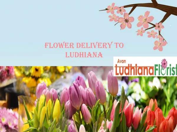 Flower delivery to Ludhiana