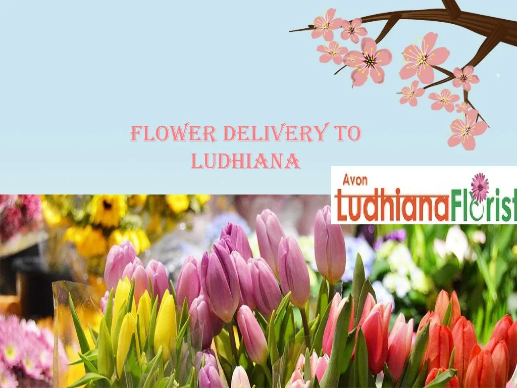 flower delivery to ludhiana