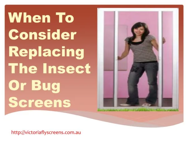 When To Consider Replacing The Insect Or Bug Screens