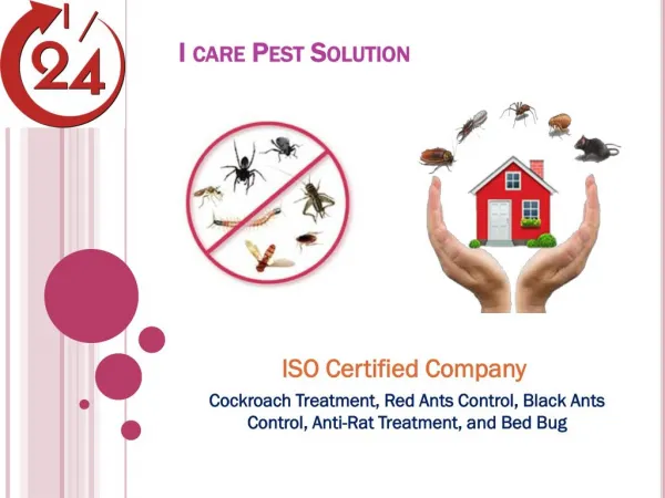 Top Tips to Select the Best Pest Control Services in Bhopal