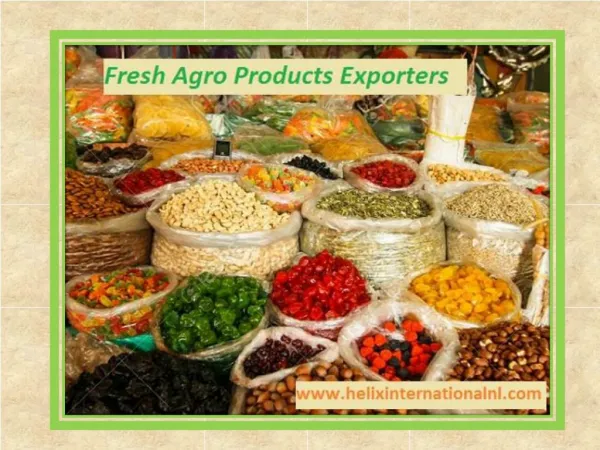 Helix Intrnational - Best quality fresh agro products wholesaler and Exporters