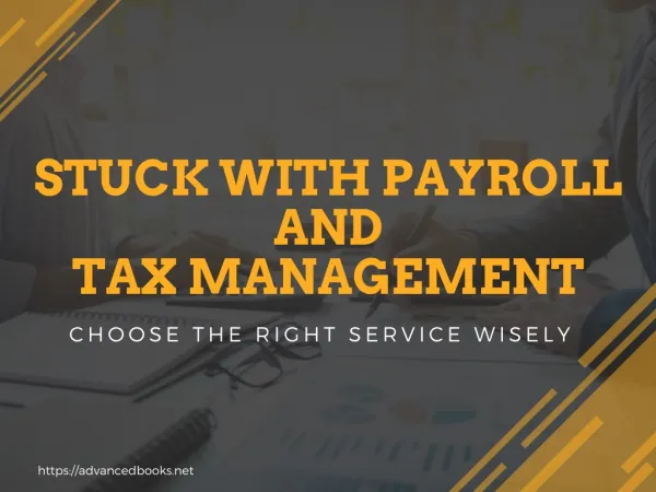 Stuck with Payroll and Tax Management- Choose the Right Service Wisely 