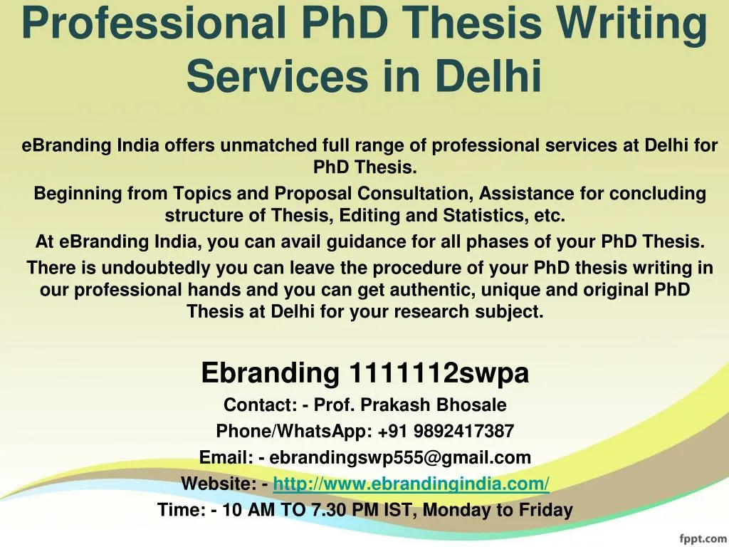 professional phd thesis writing services in delhi