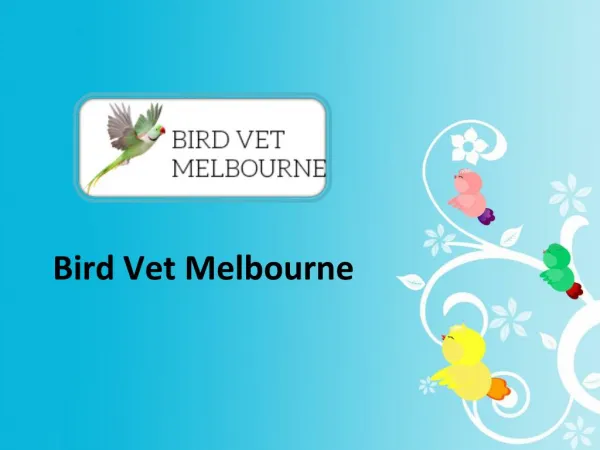Avian Veterinary Laboratory Melbourne - Birdvetmelbourne